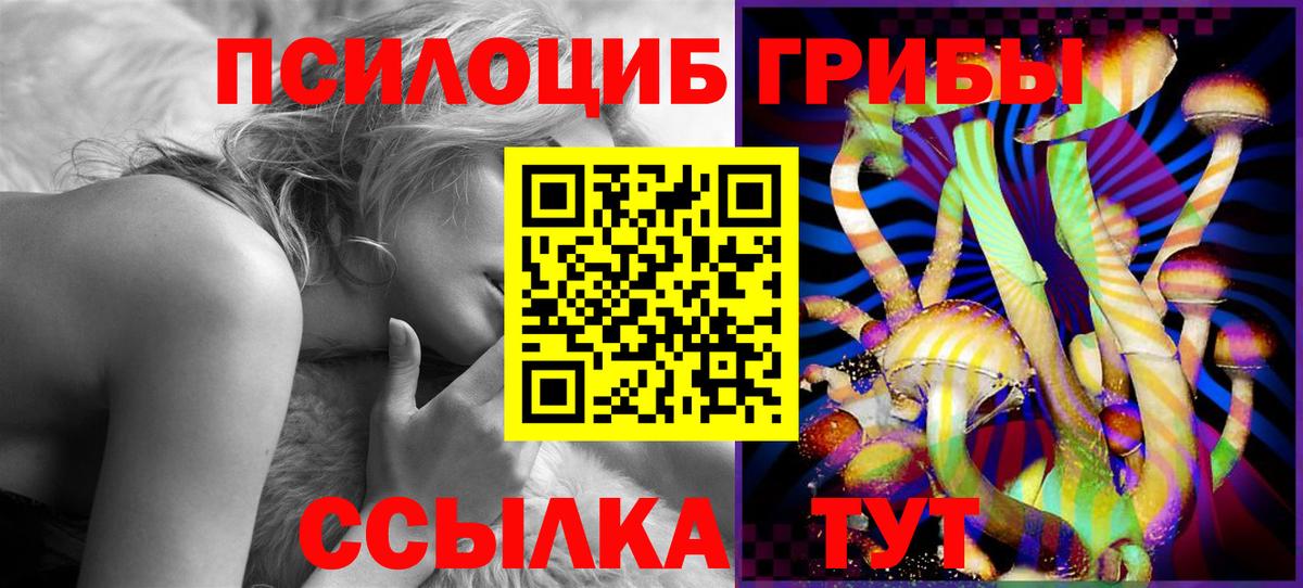дарнет шоп  Галлюциногенные грибы Psilocybe  Вход с VPN  Галлюциногенные грибы Cubensis  Гусев 